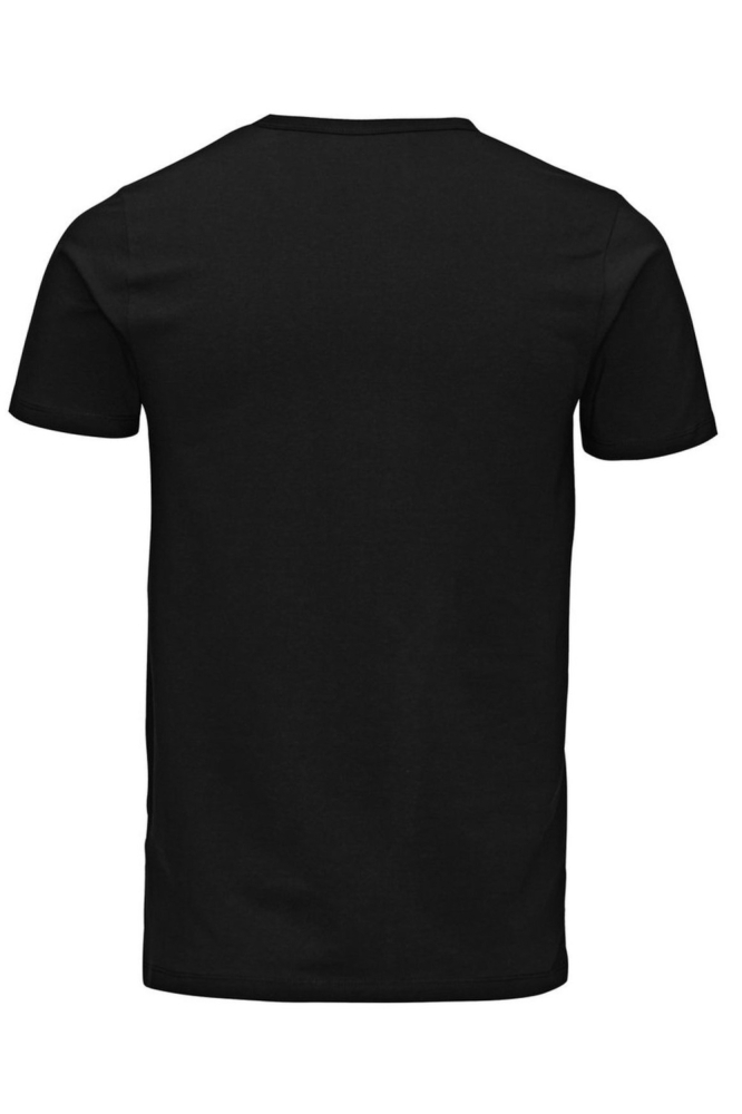 BASIC O-NECK TEE S/S NOOS 12058529 Black